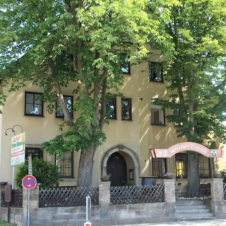 Gruner Baum